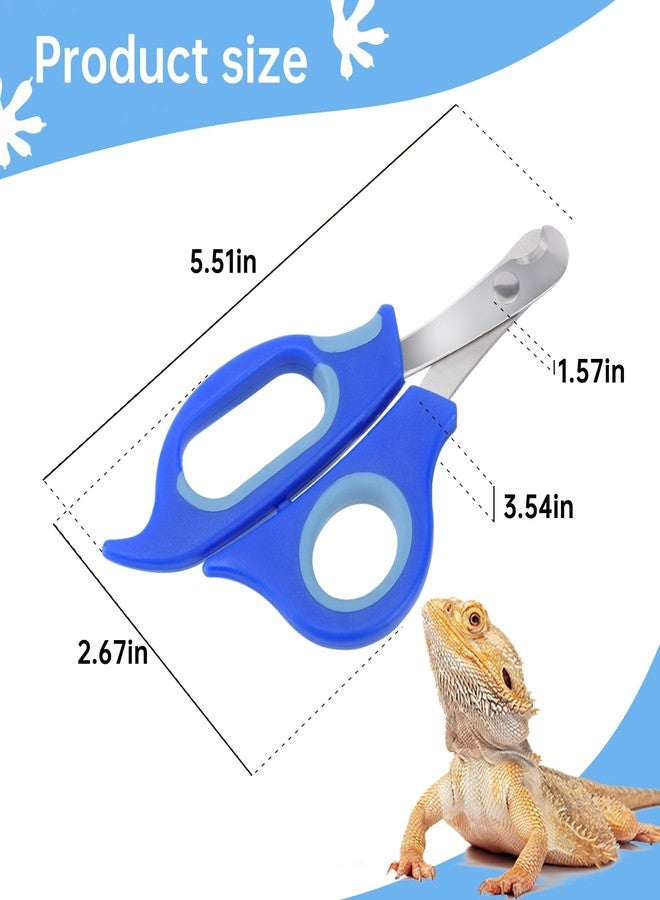 KEUYE Bearded Dragon Nail Clippers,Stainless Steel Bearded Dragon Toe Nail Clippers with Precise Angled Edges (Blue) - Image 2